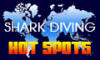 Shark Diving Hotspots picture