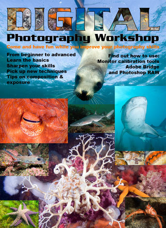 underwater digital photography course