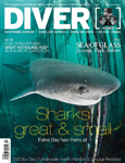 Diver Magazine South Africa Sevengill Cover