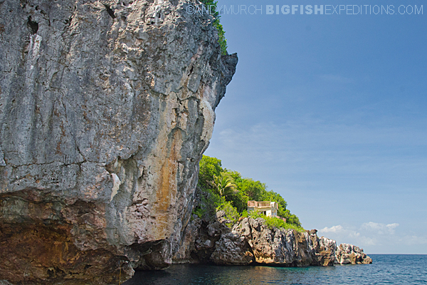Gato Island, Malapascua. The shark cave.