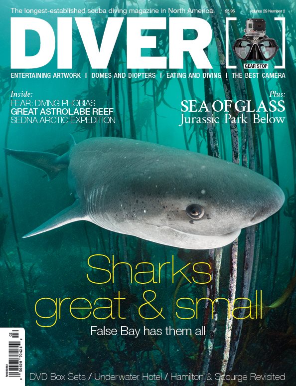 Sevengill Shark cover
