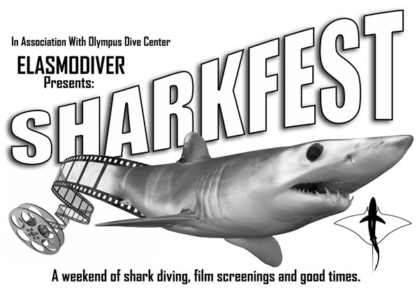 Sharkfest 2010